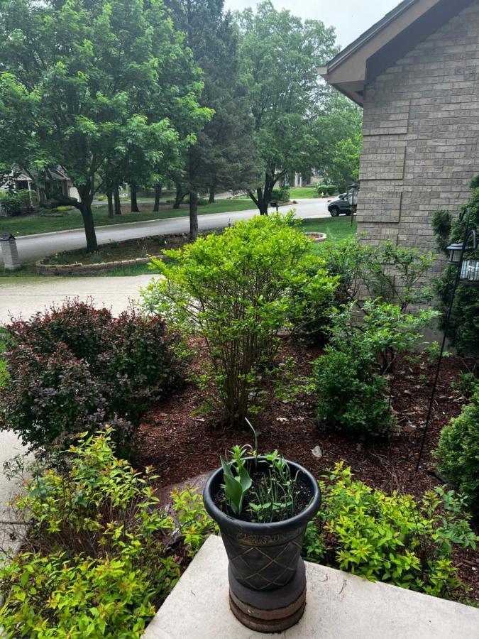 Quiet And Spacious Room1 Bolingbrook Exterior photo